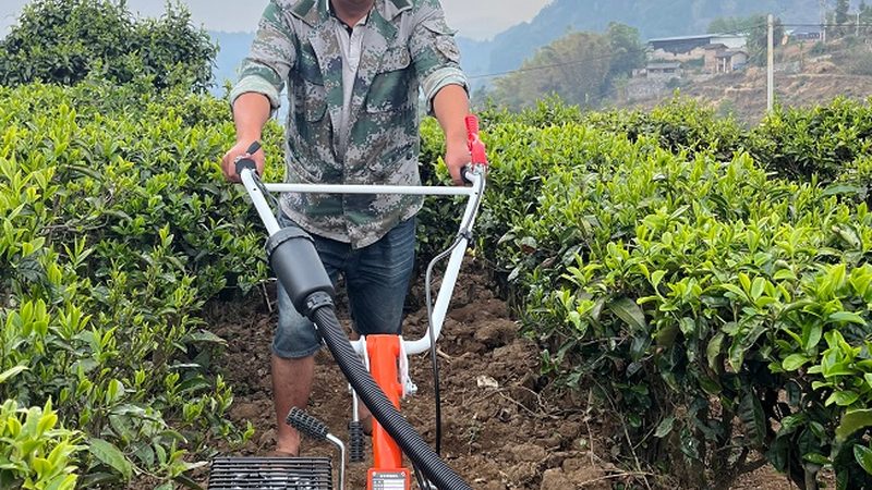 全喂入脱粒机：如何挑选适合的型号？**