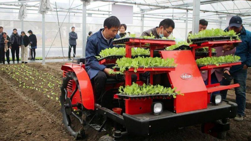 河南联合收割机作业流程解析：效率与细节并重
